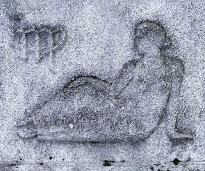 Dogs & Daily Life: Virgo in the 6th House