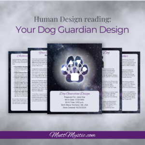 Your Dog Guardian Design - A Human Design Reading