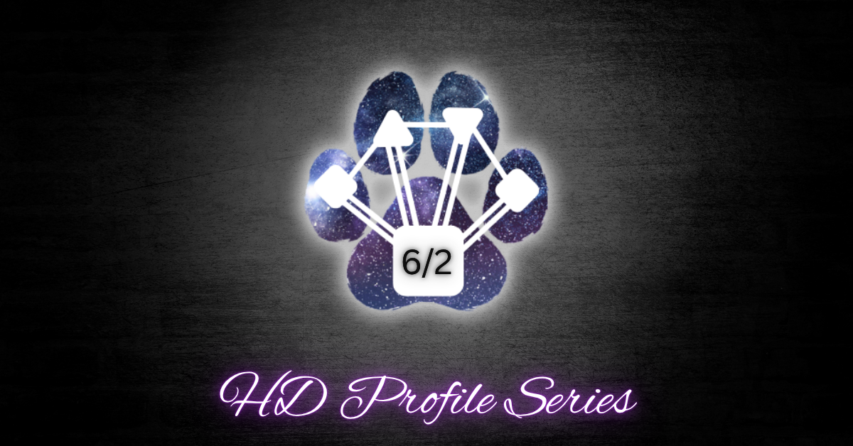 Dogs & Human Design: 6/2 Profile as a Dog Guardian