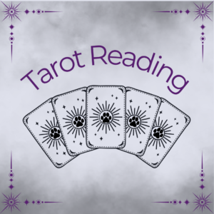 Your Dog Guardian Reflection - A Tarot Reading