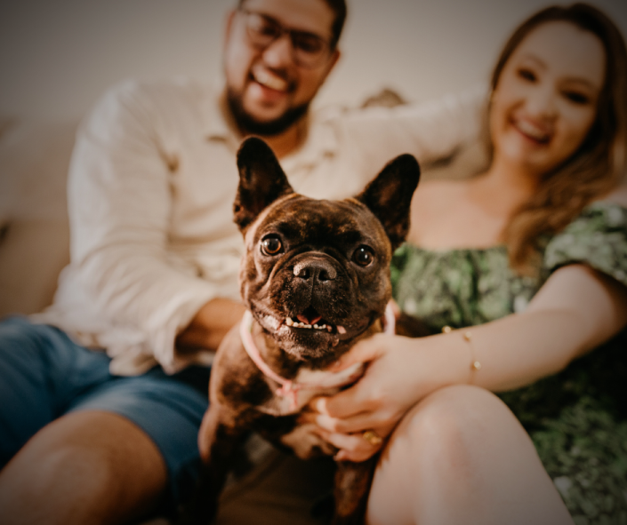 Your 4th House: The Dog That Feels Like Family