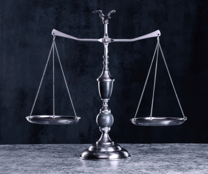 Dogs & Daily Life: Libra in the 6th House