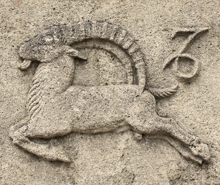 Dogs & Daily Life: Capricorn in the 6th House