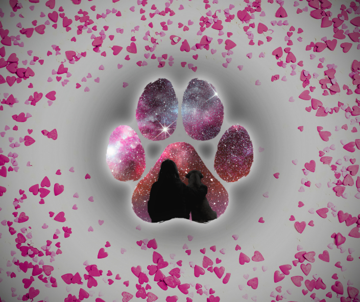 A Beautiful Valentine’s Day Tarot Spread for Dog Guardians