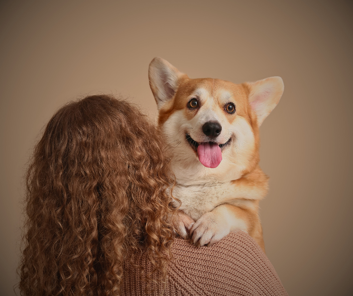 Life Lessons from Dogs for Every Human Design Profile