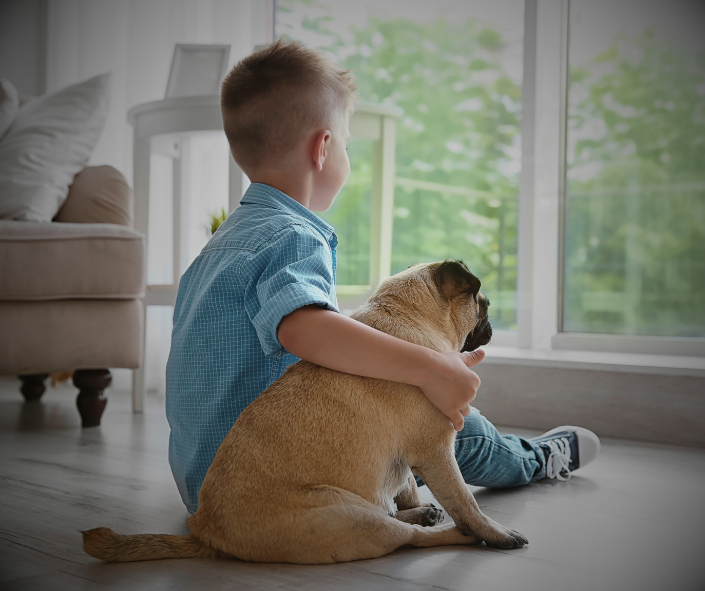 Talking to Kids About Dog Death: A Gentle Guide