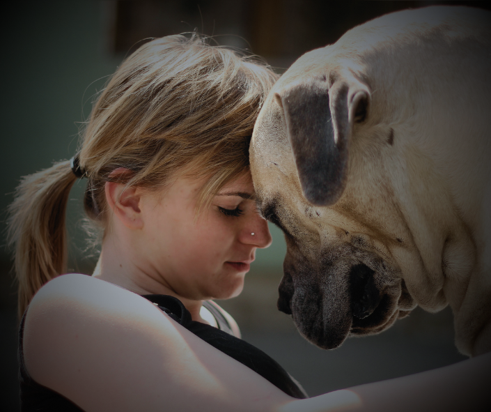 What to Expect the First Night After Losing a Dog