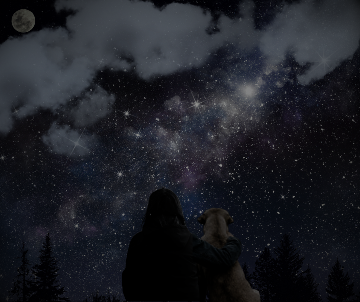 An Astrology Reading for Dog Guardians